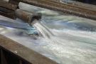 Lead Alloys